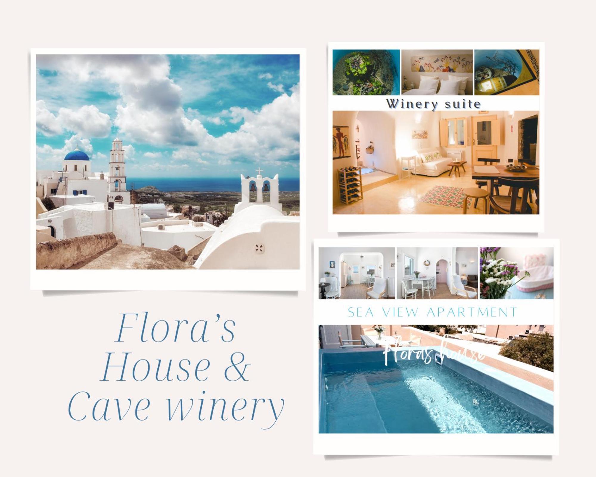 Flora's House & Cave Winery * Pýrgos